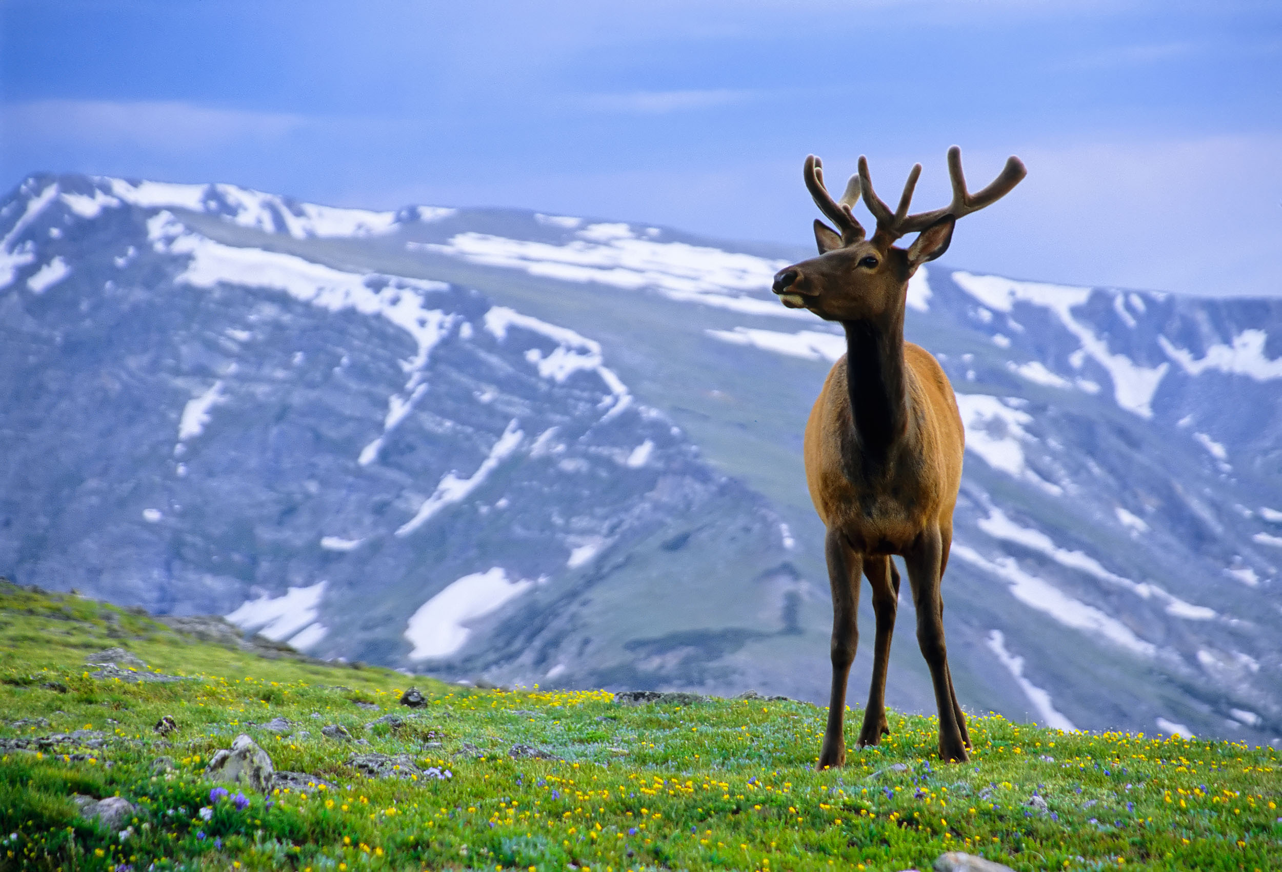 Landscape_Nature_116