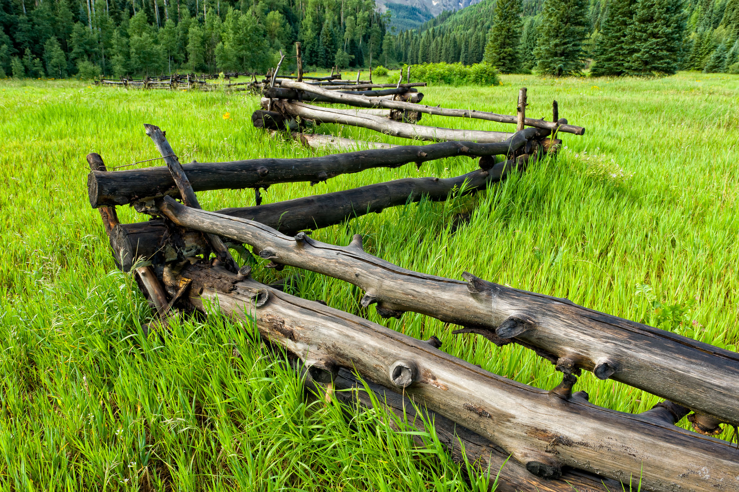 Landscape_Nature_15