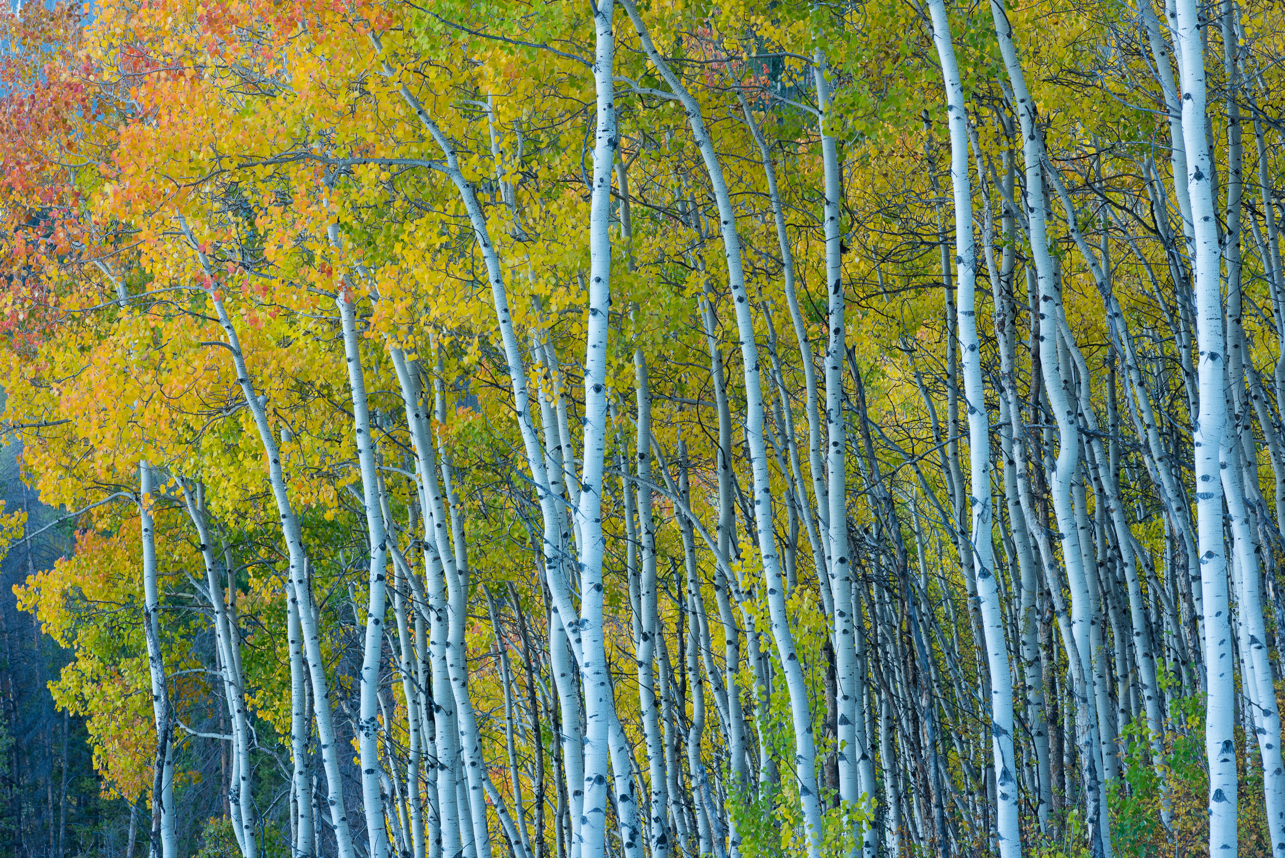 Landscape_Nature_168