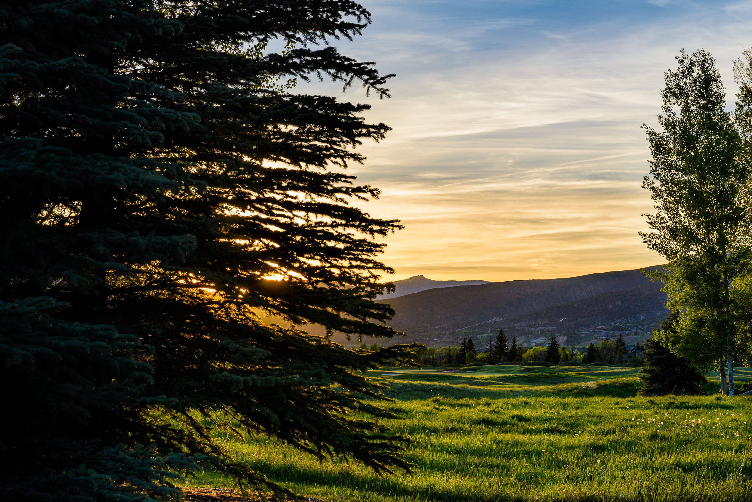 Landscape_Nature_187