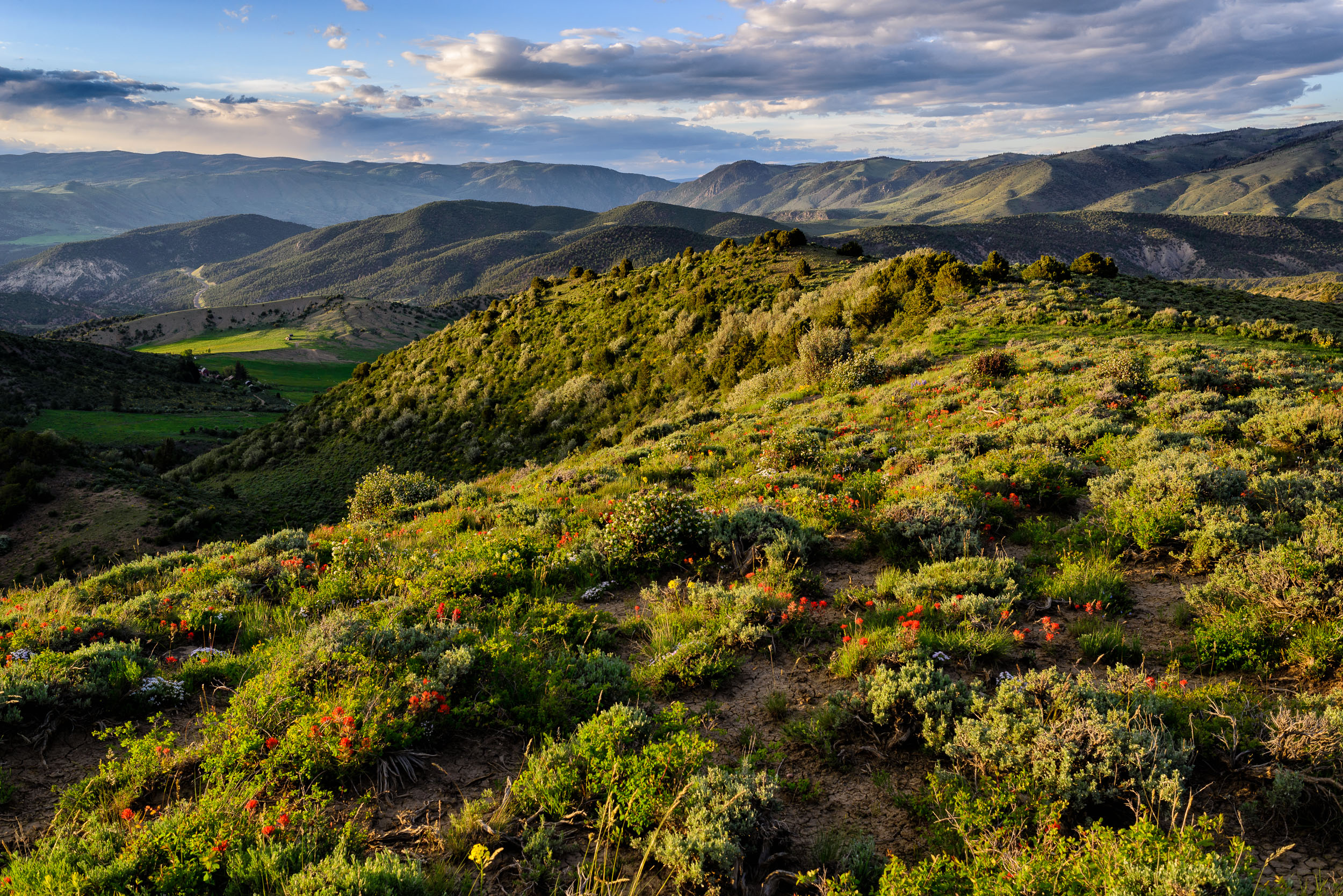 Landscape_Nature_39