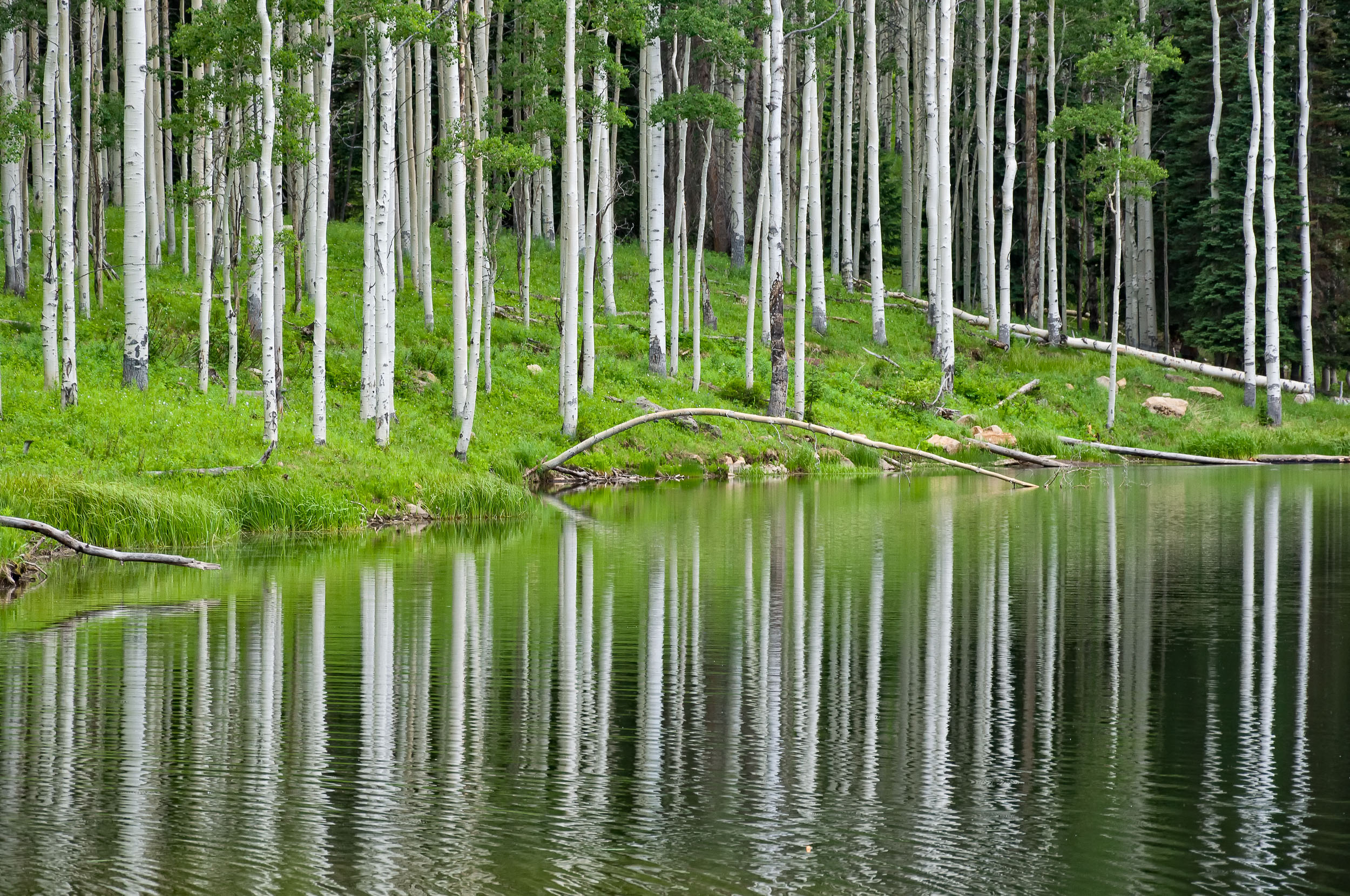 Landscape_Nature_88
